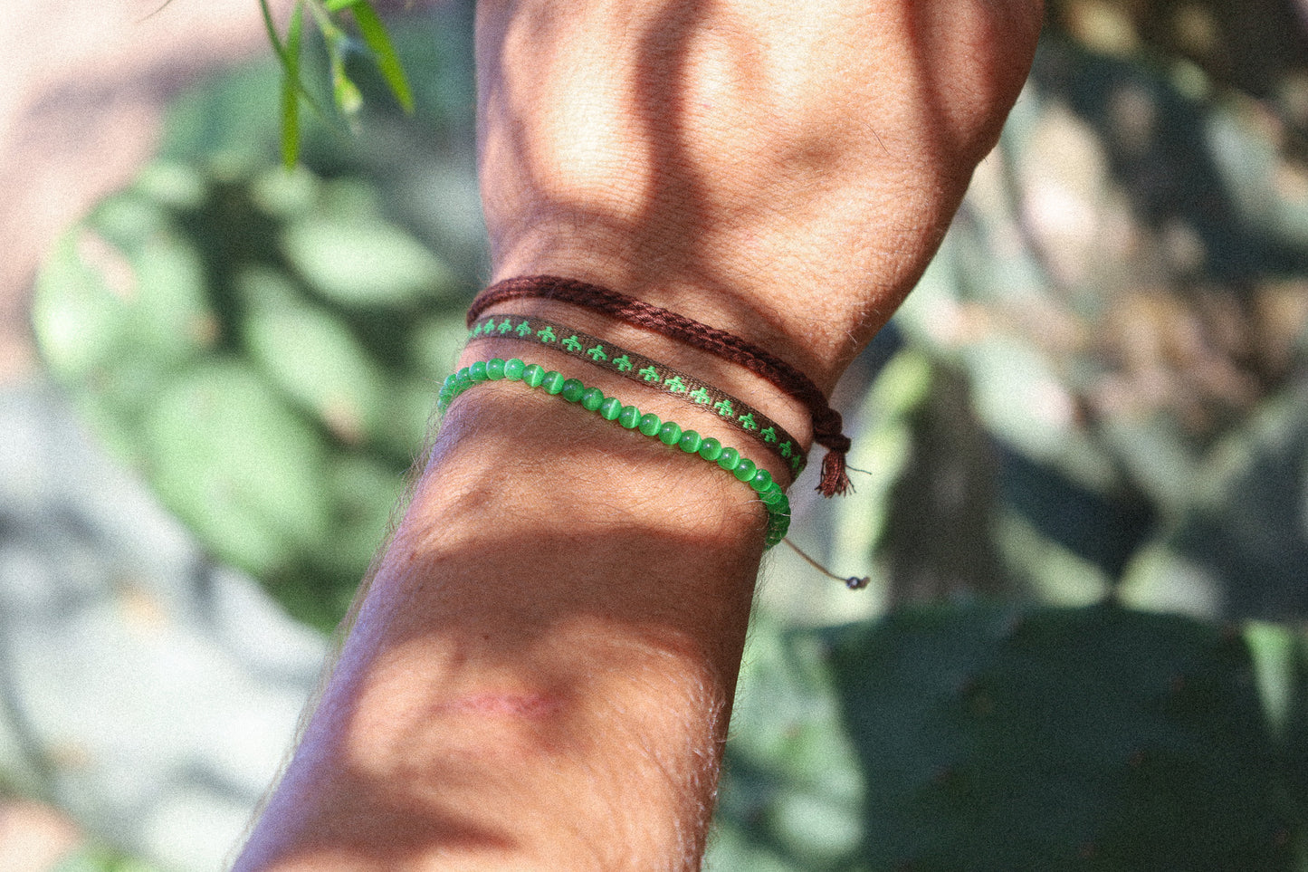 Look Désert de Sonora 🌵