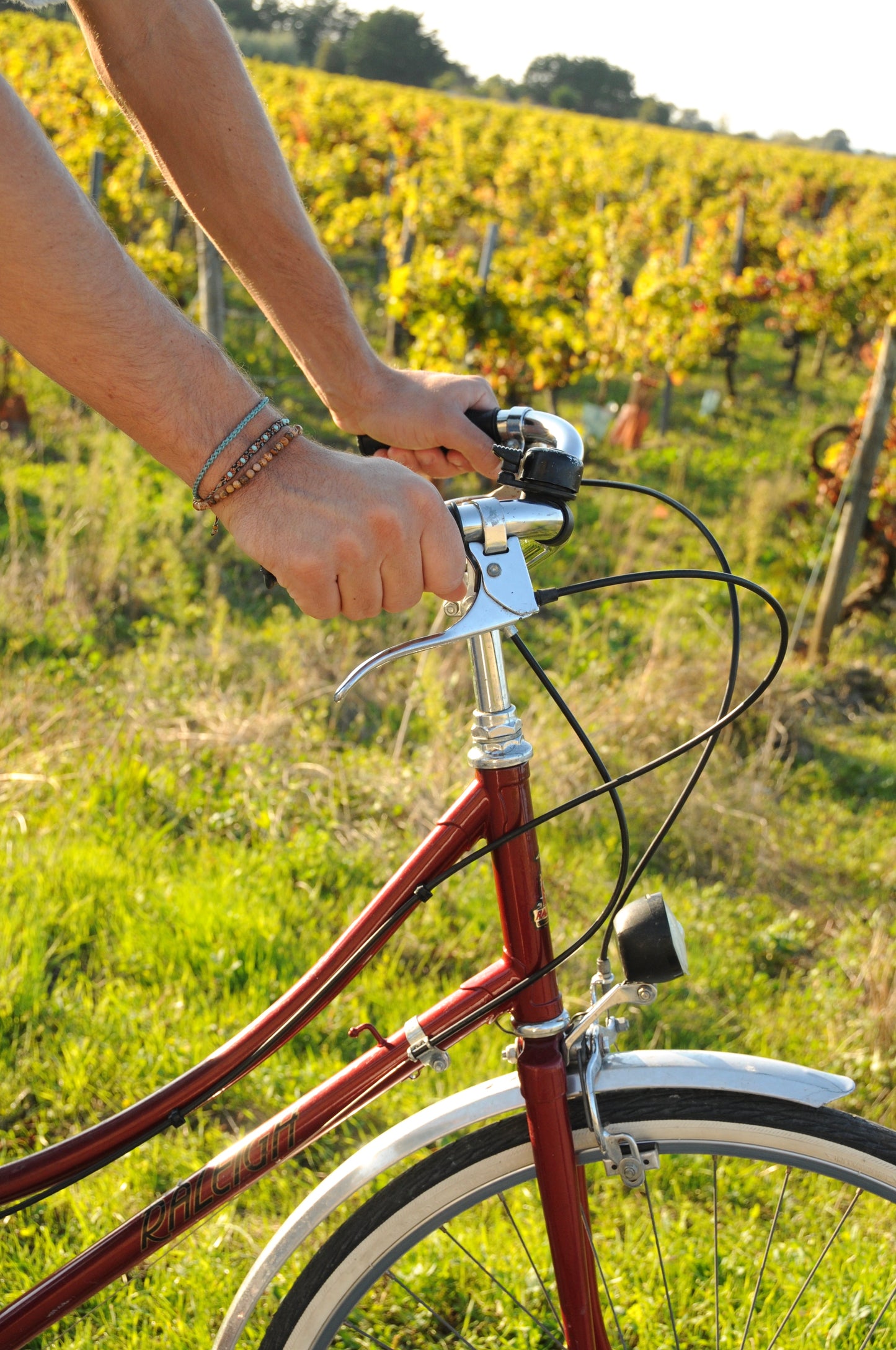 Look Pilote de bicyclette 🚲