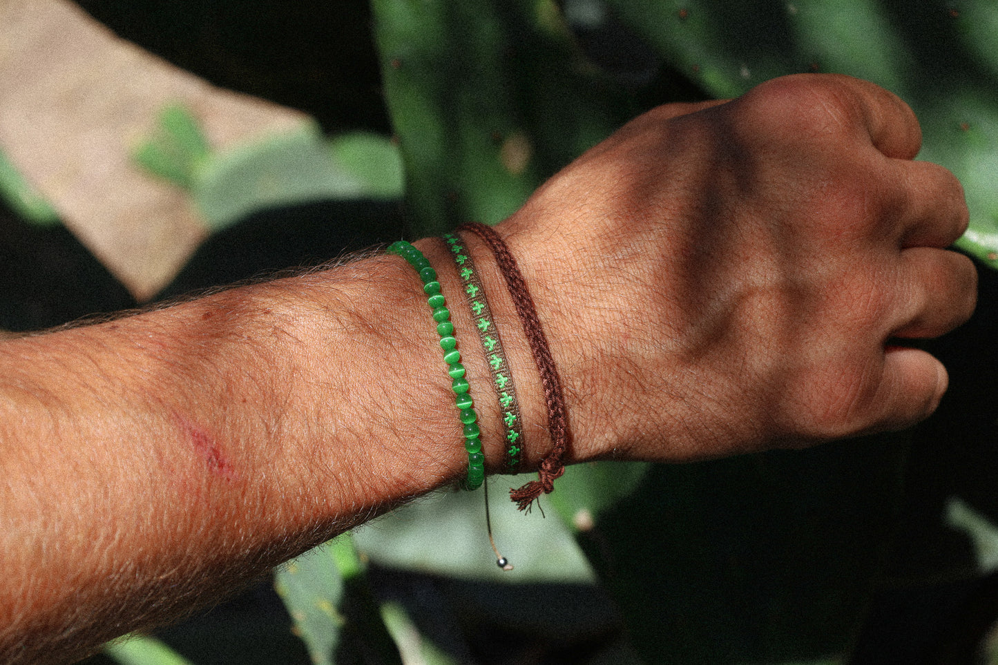 Look Désert de Sonora 🌵