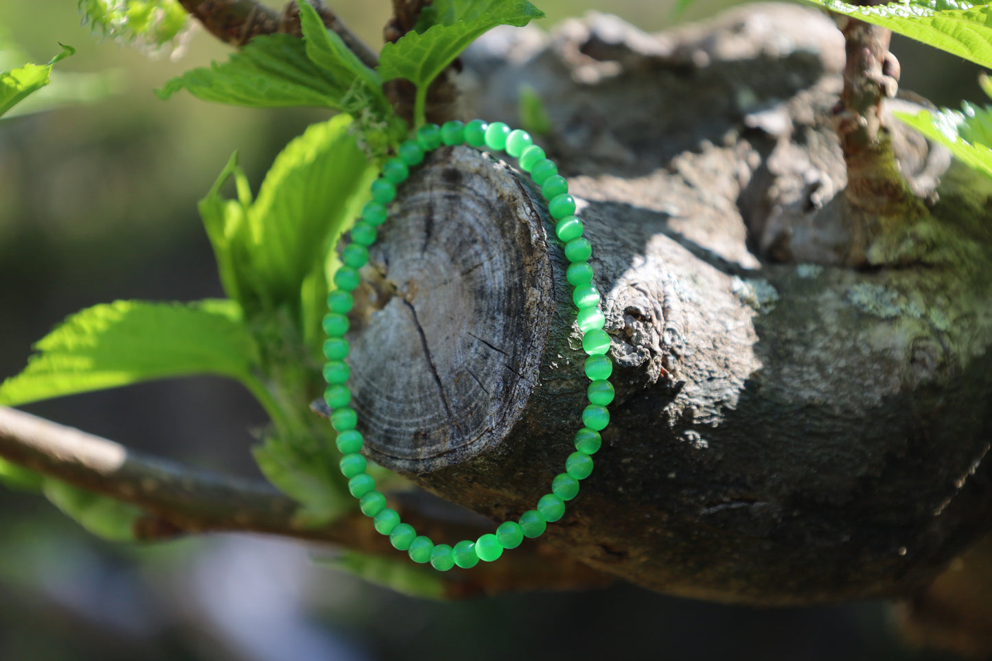 Bracelet Avocatier